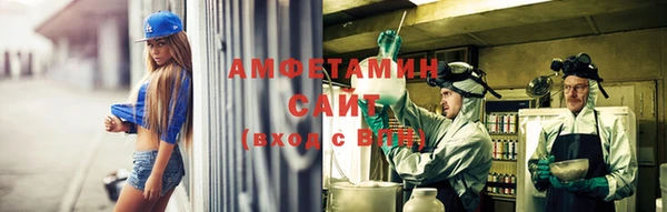 хмурый Верея