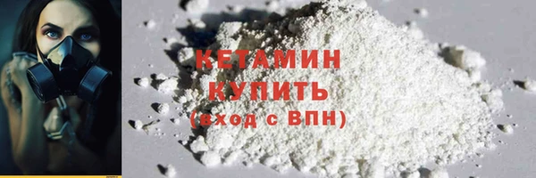 хмурый Верея