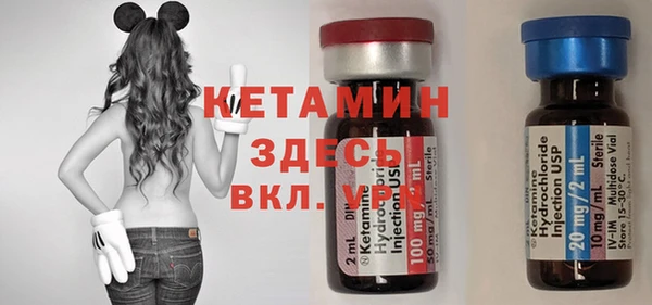 хмурый Верея