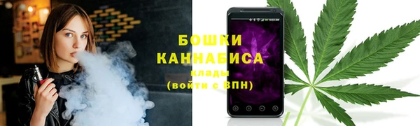 хмурый Верея