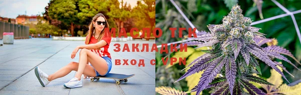 хмурый Верея
