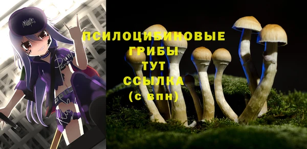 марки nbome Верхнеуральск