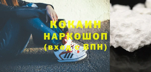 хмурый Верея