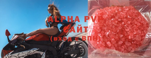 хмурый Верея